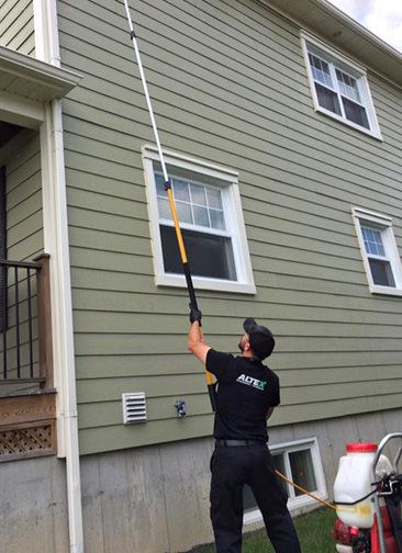 Extermination Altex - Services pour le secteur résidentiel à Sherbrooke et partout en Estrie